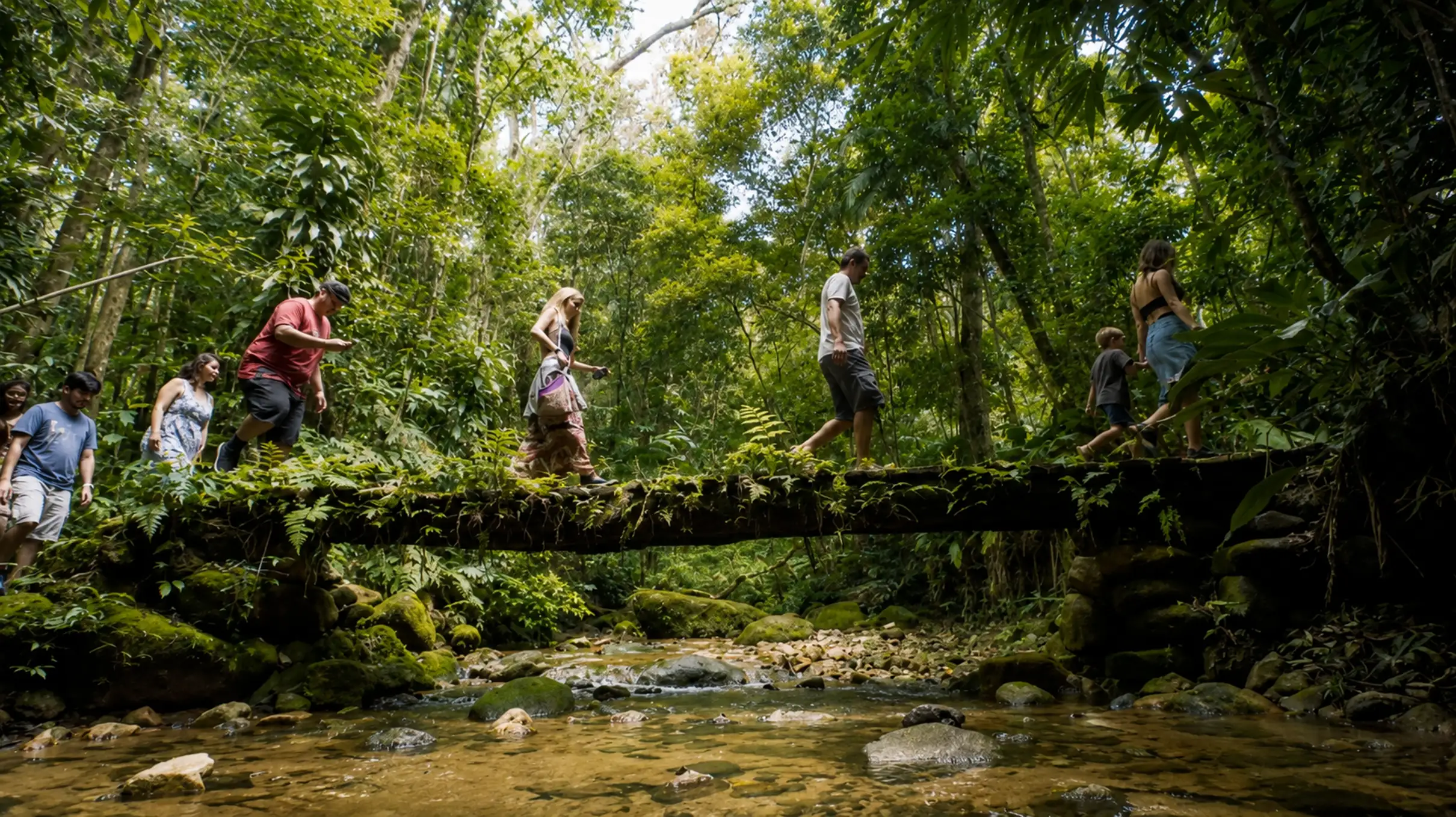 Hiking group in Tijuca National Park